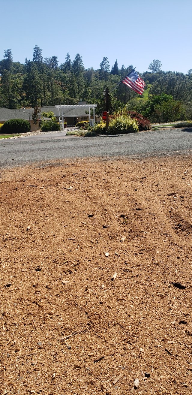 Surface Root Removal